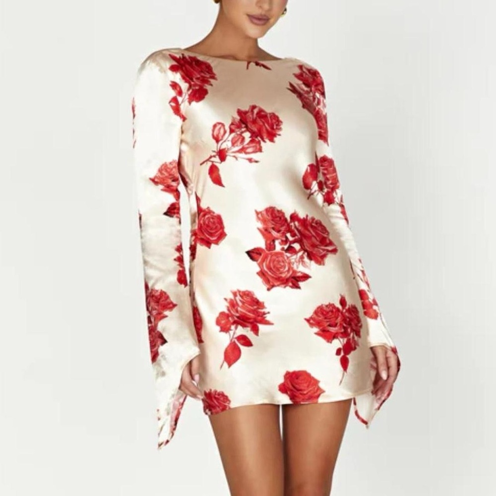 NWT Meshki Dress